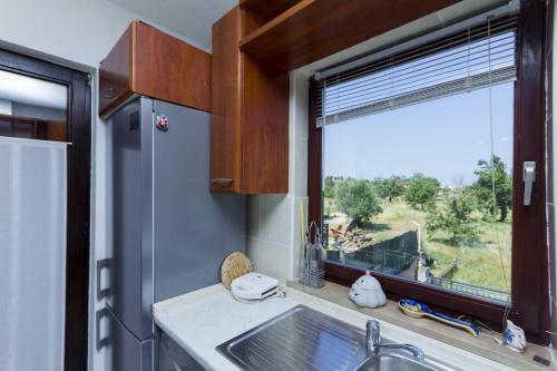 Apartment Domenica