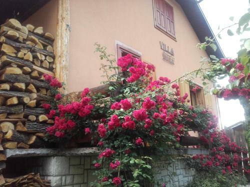 Holiday Homes Fairy Tale