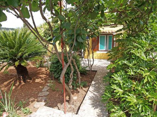 Apartamentos Stokic