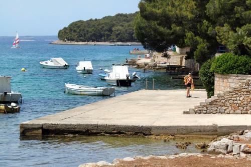 Apartamentos Studio Mali Losinj 12551a