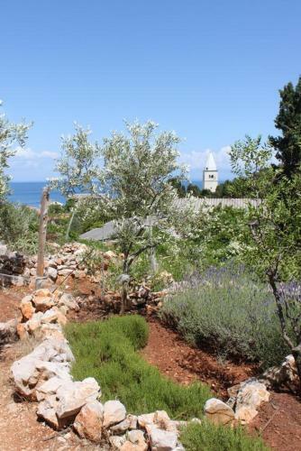 Apartamentos Studio Mali Losinj 7879a