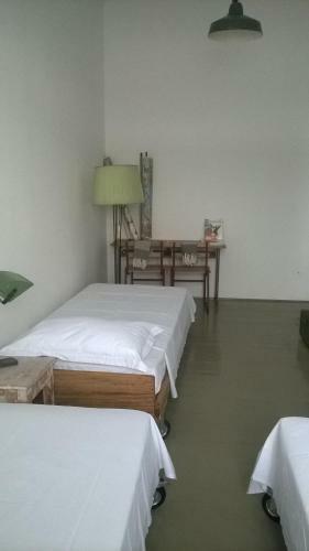 Albergue Amarcord Skola