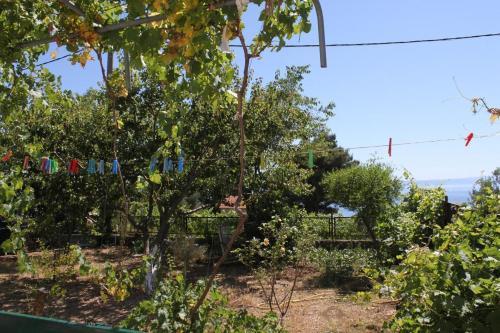 Apartment Veliko Brdo 6791b