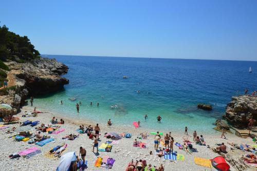Apartment In Pula/istrien 11445