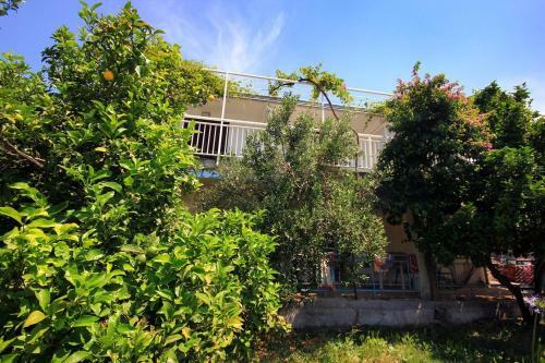 Apartment Viganj 260a