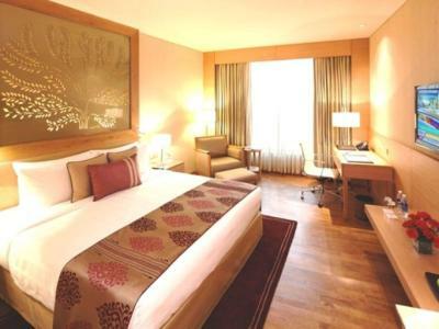 Hotel Radisson Blu Dwarka (t)