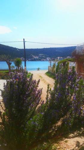 Holiday Home Vinisce (4454)