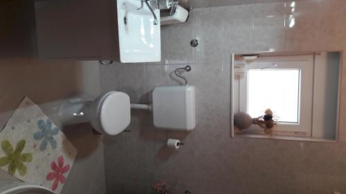 Apartment Branka