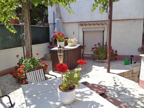 Apartamento Studio In Pula/istrien 10951