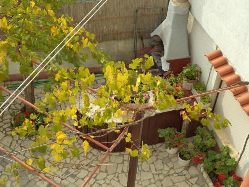 Apartamento Studio In Pula/istrien 10951