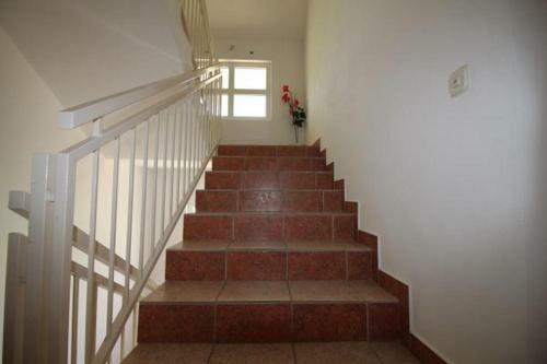 Apartments Borac