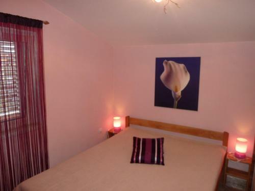 Apartment Bobovik X