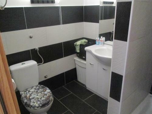 Apartments Dragi?evi?