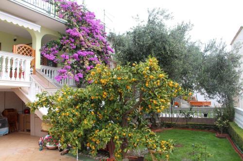 Apartments With A Parking Space Vodice - 6271
