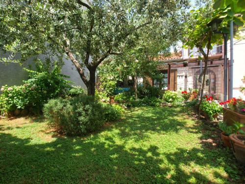 Apartments Maria 64
