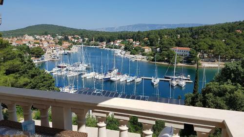 Apartments Vila Jelka