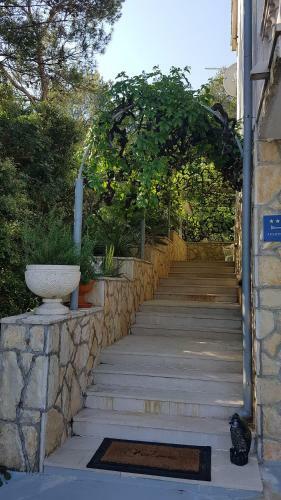 Apartments Vila Jelka