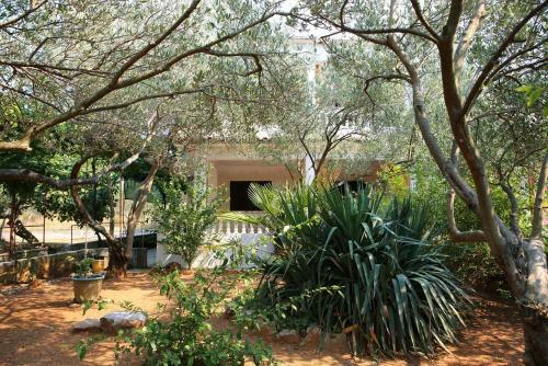 Holiday Apartments Vrgada (biograd) - 4200