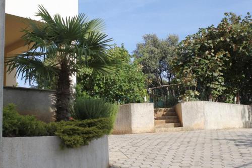 Apartamentos Studio Vrsar 7129a