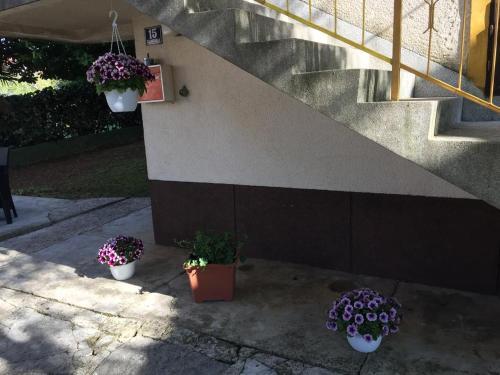 Apartment Vrsar 14228d