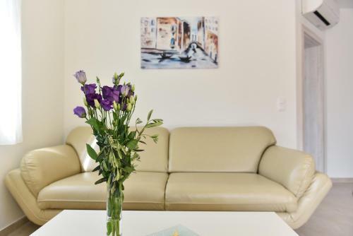 Apartments Ana Vrsi