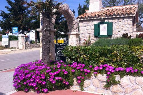 Apartment Vrsi - Mulo 3276b