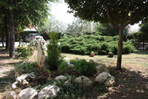 Apartment Vrsi - Mulo 6155f