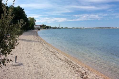 Apartment Vrsi - Mulo 6155a