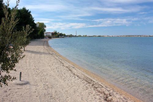 Apartment Vrsi - Mulo 5765a