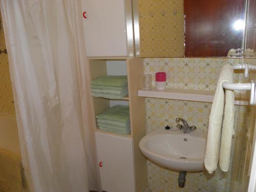 Apartment Branka