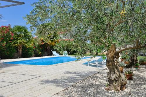 Hostal Villa Hope - Apartments With Shared Pool