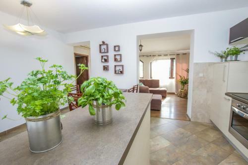 Apartment Giuli