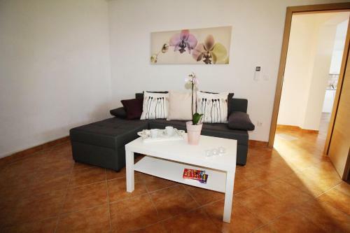Apartment In Porec/istrien 31448