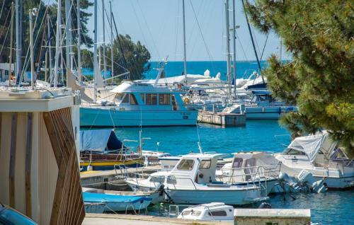 Apartment Riva Porec
