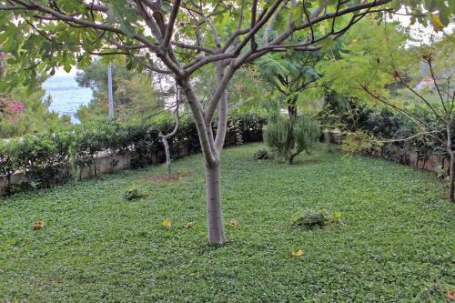 Apartment Postira 3244b