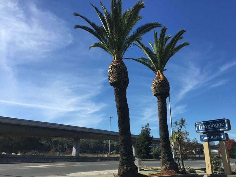 Hotel Travelodge San Rafael