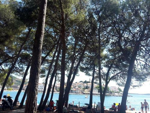 Apartment Primosten Adiomare