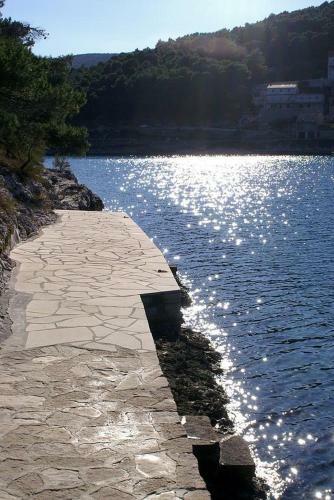 Apartments By The Sea Pucisca (brac) - 2927