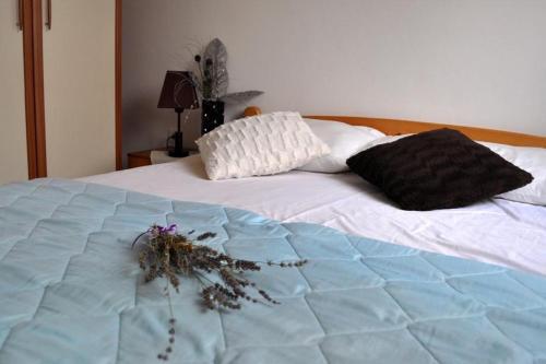 Apartment Pula 7664a