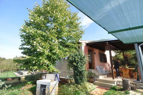 Holiday Home In Pula/istrien 17488