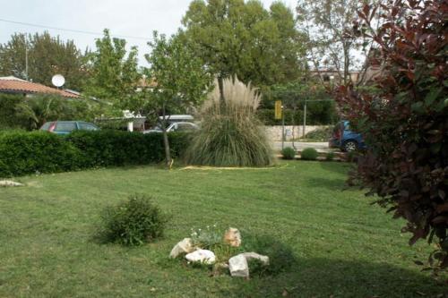 Apartment Premantura 2299a