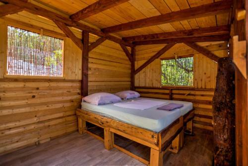 Camp Agritourism Marusina Olive Hills