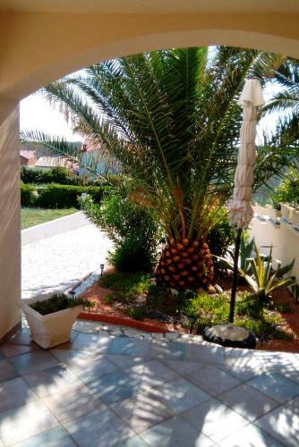 Apartments With A Parking Space Barbat (rab) - 16222