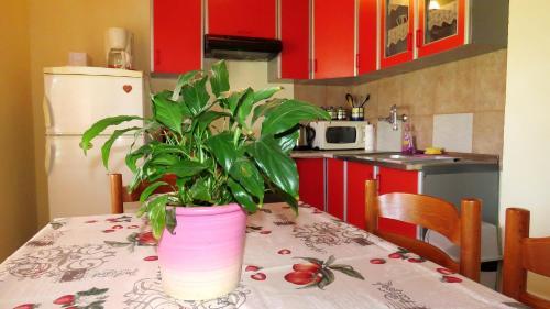 Apartments With A Parking Space Barbat (rab) - 4988
