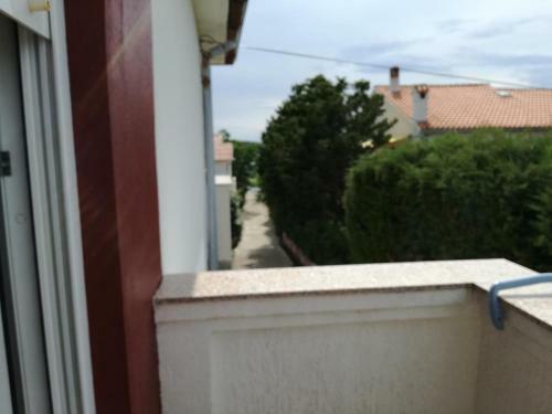 Apartment Barbat 4993b