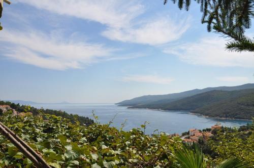 Apartment In Rabac 16870