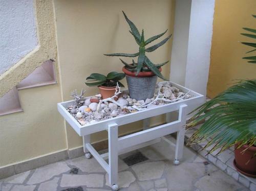 Apartment In Rab/insel Rab 16243
