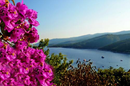 Apartment In Rabac 16743
