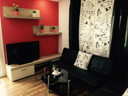Apartamento Guesthouse Rakovica (4342)