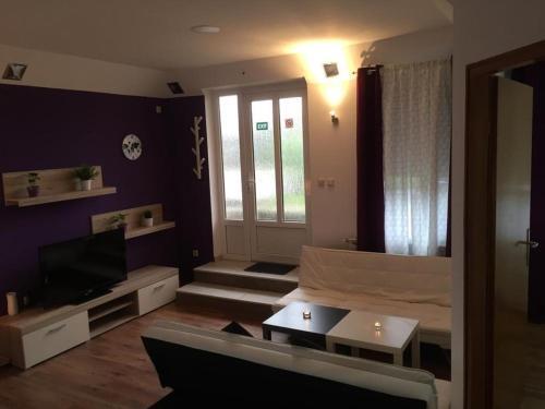 Apartamento Guesthouse Rakovica (4342)
